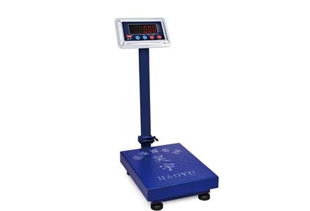 T16 Weighing Platform Scale