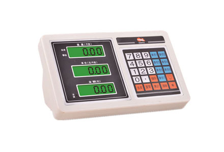 Plastic T6 Indicator Price Computing Platform Scale