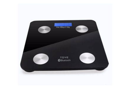 Body Fat Scale EB619