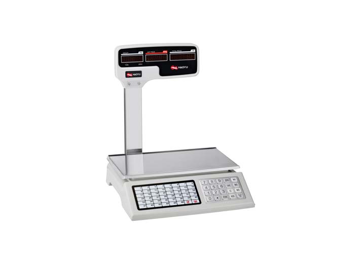 more storage keys available 610bk price computing scale