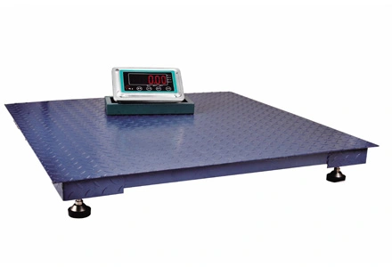 Stainless Steel Floor Scale