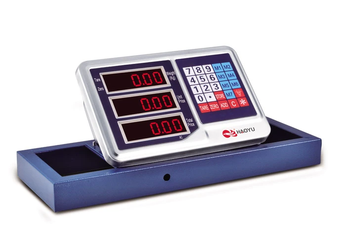 carbon steel wireless portable scale 4